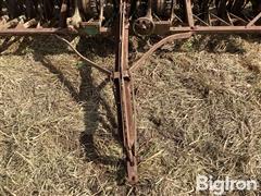IMG_5606.jpeg