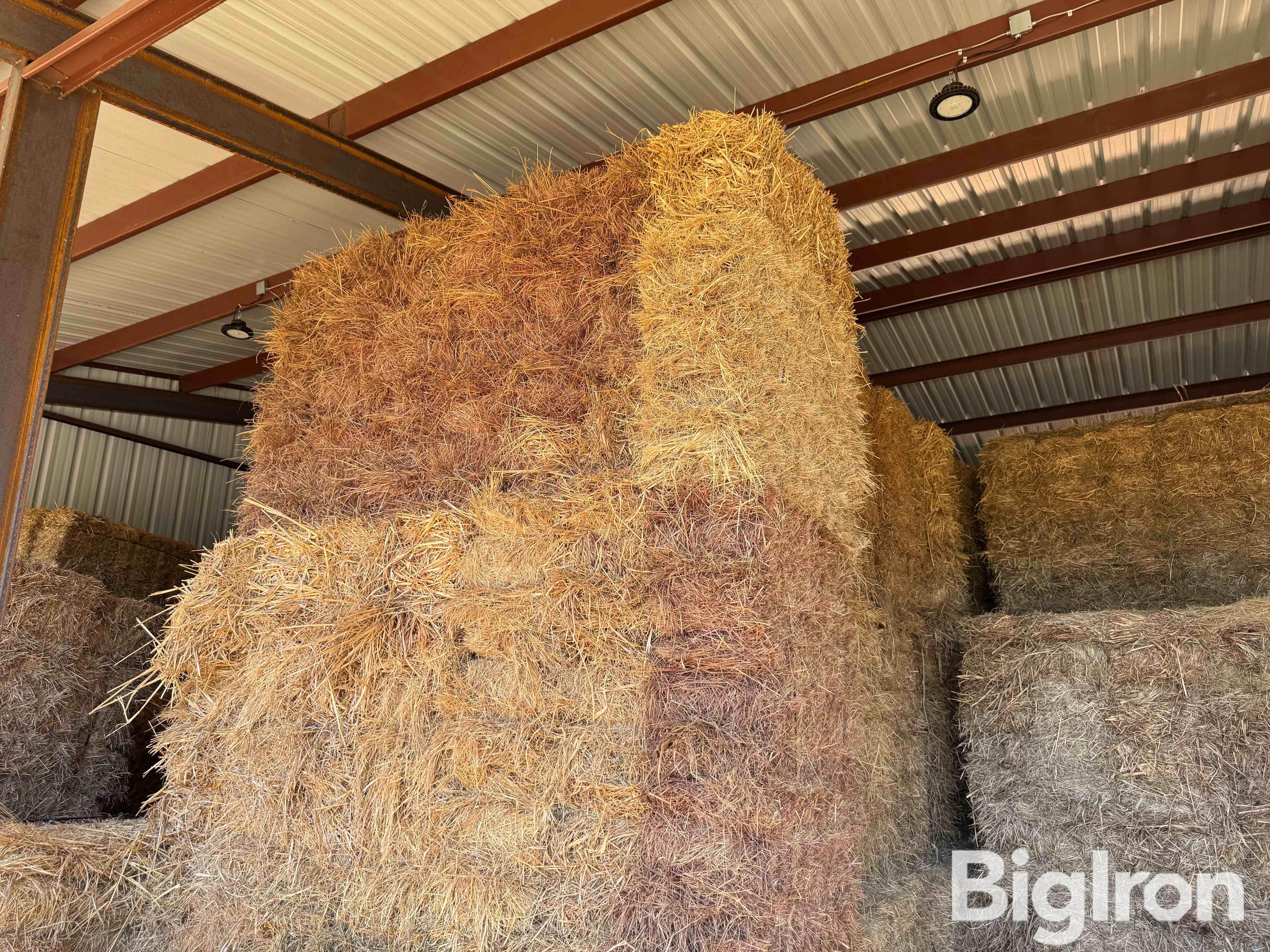 Small Square Prairie Hay 