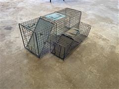 Animal Traps 