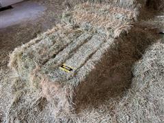 Lot Of 100 Small Square Bales Tef Grass Hay 