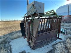 Electric Over Hydraulic Cattle Working Chute 