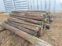 Fence Posts 