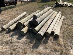 Green Treated Posts 