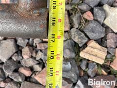 IMG_4750.jpeg