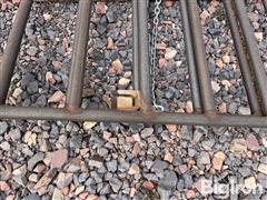 IMG_4748.jpeg