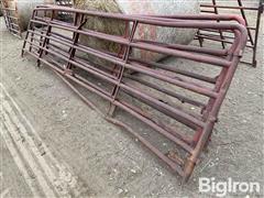 Livestock Gates 