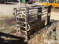 Calf Bucking Chute 