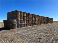 2023 Failed Wheat Crop Hay Bales 