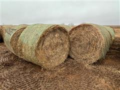 34 Bales 2023 CRP Hay 