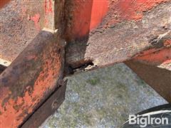 13233aff1a8f419a901f5a67c4a366b0.jpg