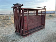 Cattle Scale Chute 