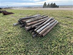 5-1/2"X8' Wood Posts 