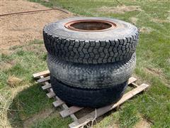 IMG_2084.jpeg