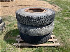 IMG_2083.jpeg