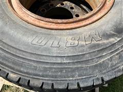 IMG_2092.jpeg