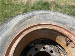 IMG_2093.jpeg