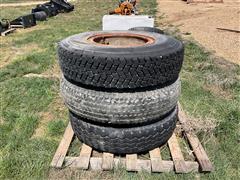 IMG_2081.jpeg