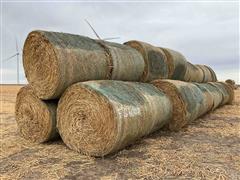 2023 Sorghum Sudangrass Round Hay Bales 