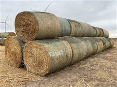 2023 Sorghum Sudangrass Round Hay Bales 