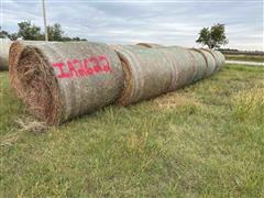 Prairie Hay 