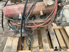 IMG_1394.jpeg