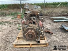 IMG_1382.jpeg