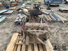 IMG_1388.jpeg