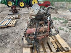 IMG_1384.jpeg