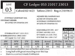 Lot 3 Pedigree.JPG