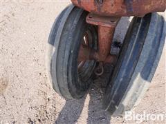 DSC08664.JPG