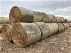 2023 Sorghum Sudangrass Round Hay Bales 