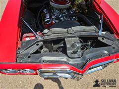 20250616_132900.jpg