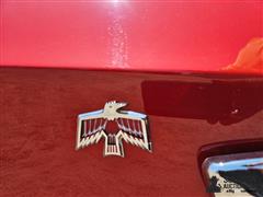 20250616_134544.jpg