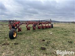 IMG_9217.jpeg