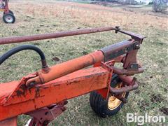 IMG_9224.jpeg
