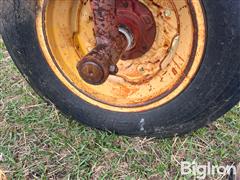 IMG_9239.jpeg