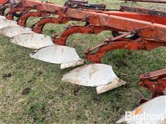 IMG_9236.jpeg