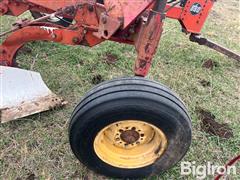 IMG_9233.jpeg