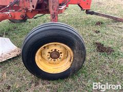 IMG_9232.jpeg