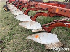 IMG_9234.jpeg