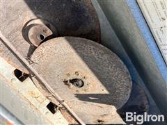 IMG_2611.JPG