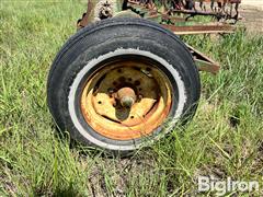 IMG_2595.JPG