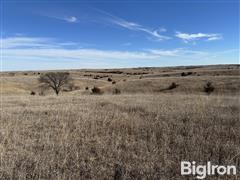 Tract #1: 160+\- Acres Nance County, NE