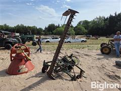 20250616_094441.jpg