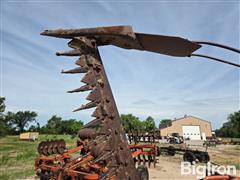 20250616_094606.jpg