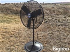 Electric Fan 