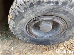 IMG_0384.jpeg