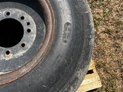 IMG_5656.jpeg