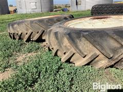 IMG_1129.jpeg