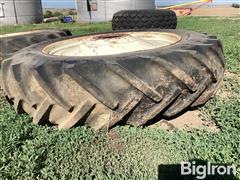 IMG_1130.jpeg